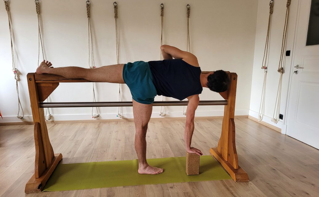 Ardha chandrasana cheval sadhaka cyis