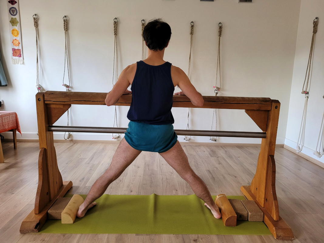 Utthita hasta padasana cheval sadhaka cyis