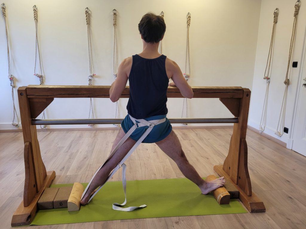 Parsva Hasta Padasana doublesangle sadhaka cyis