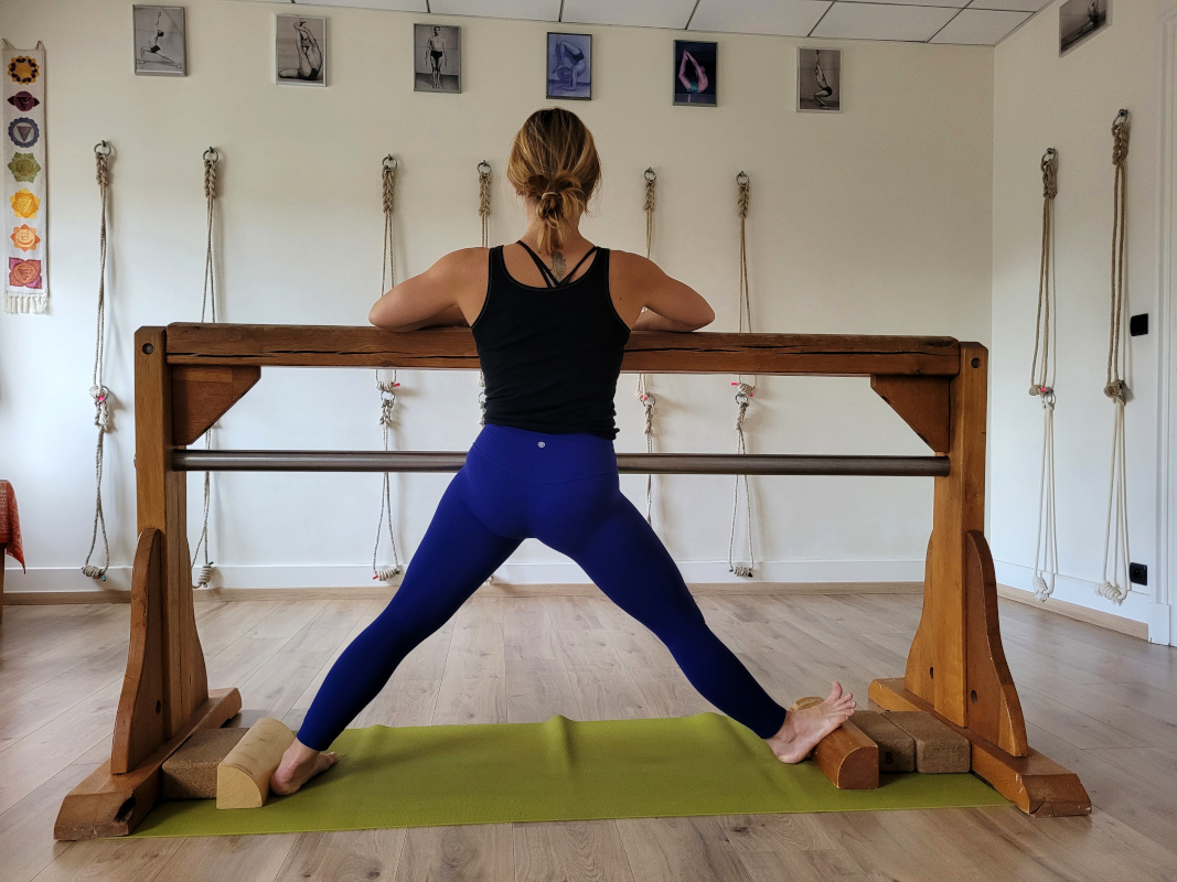 Parsva Hasta Padasana cheval sadhaka cyis