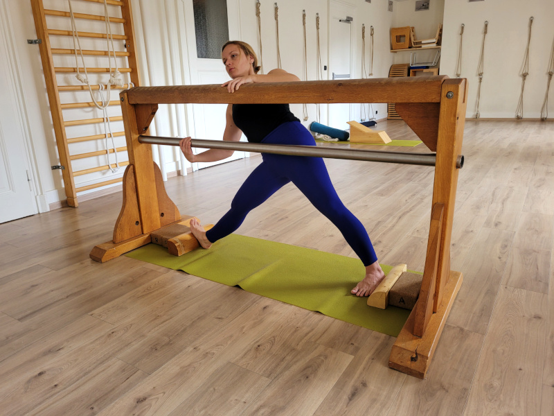 Utthita Trikonasana cheval sadhaka cyis