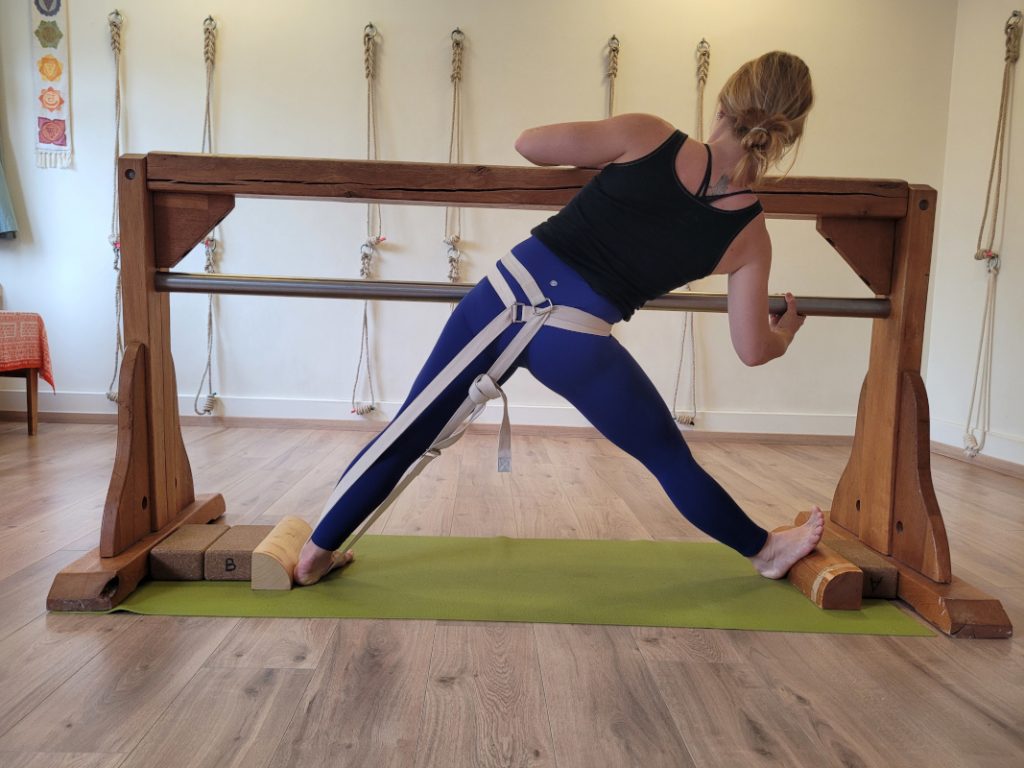 Utthita trikonasana soublesangle sadhaka cyis